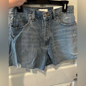 Urban Outfitters BDG A Line Denim Short